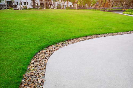 Common Lawn Problems in Shelby Township and How to Fix Them