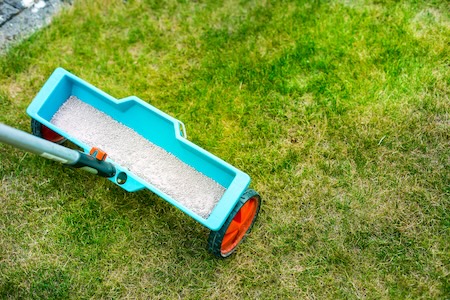 How to Help Your Lawn Recover From Summer Heat Stress
