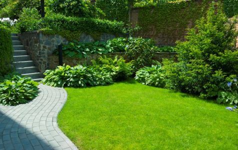 Summer Lawn Care Tips for a Thick, Green Lawn